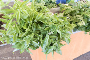 frische kräuter - 