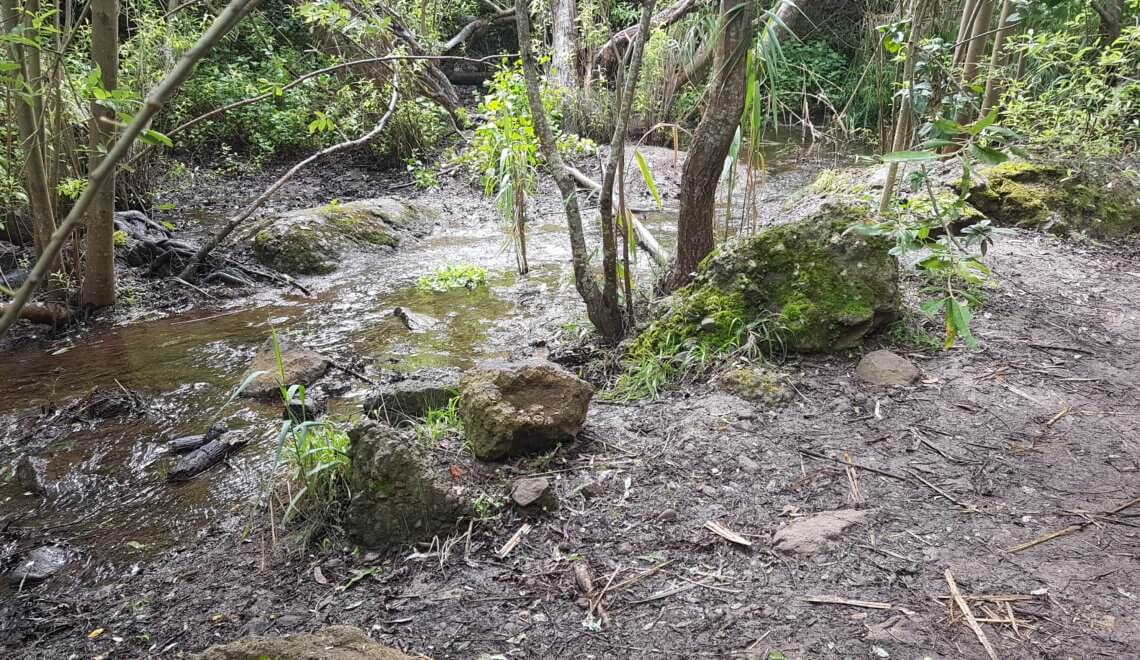 Dinge minimalisieren - weniger Müll produzieren - 