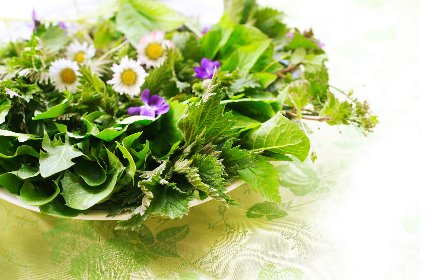 Essbare Kräuter und Blüten im Frühling, Frühjahrskur mit frischem Salat ...