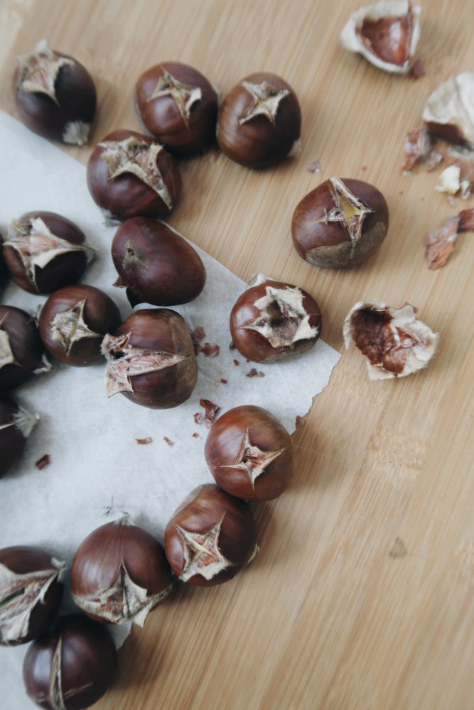 Alle Rezepte - 